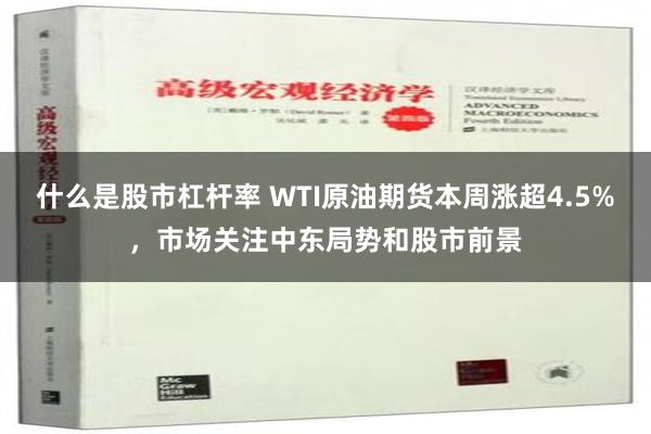 什么是股市杠杆率 WTI原油期货本周涨超4.5%，市场关注中东局势和股市前景