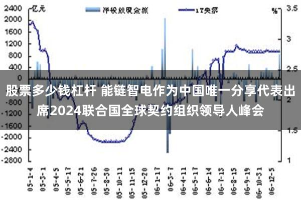 股票多少钱杠杆 能链智电作为中国唯一分享代表出席2024联合国全球契约组织领导人峰会