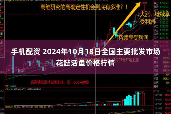 手机配资 2024年10月18日全国主要批发市场花鲢活鱼价格行情