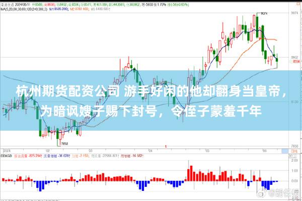 杭州期货配资公司 游手好闲的他却翻身当皇帝，为暗讽嫂子赐下封号，令侄子蒙羞千年