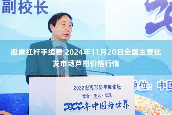 股票杠杆手续费 2024年11月20日全国主要批发市场芦柑价格行情