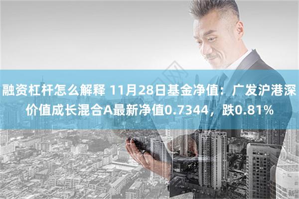 融资杠杆怎么解释 11月28日基金净值：广发沪港深价值成长混合A最新净值0.7344，跌0.81%