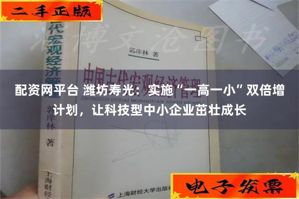 配资网平台 潍坊寿光：实施“一高一小”双倍增计划，让科技型中小企业茁壮成长